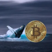 Bitcoin Drops Below $108K After Massive Whale Rotation